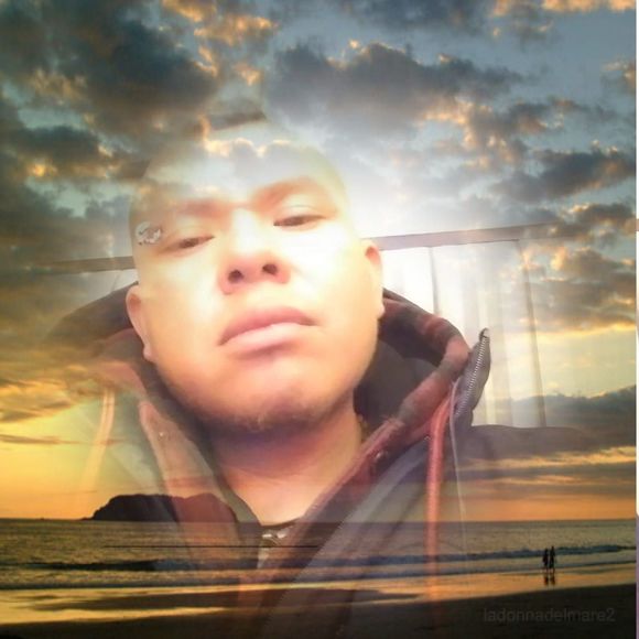 Meet your Posher, Toro - Picture 1 of 1